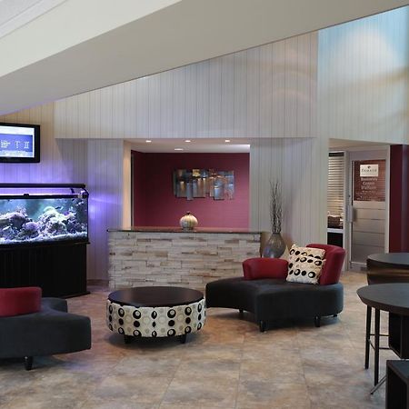 Ramada Plaza Crystal Palace ディエップ インテリア 写真